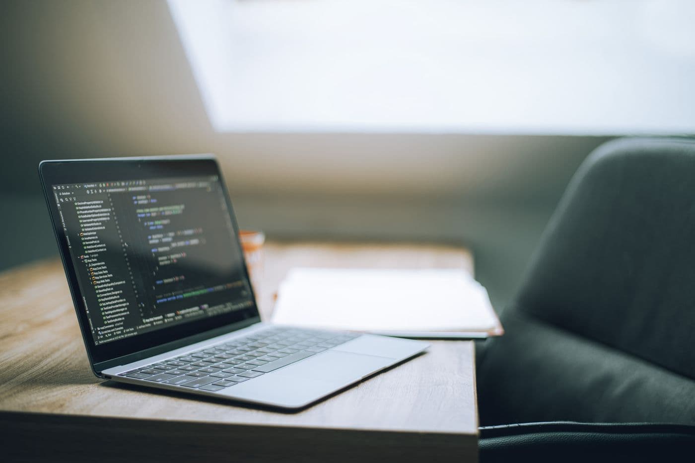 Application source code on a developer screen